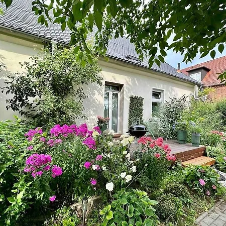 Ferienwohnung Zu Vermieten Vielitzsee Exterior foto