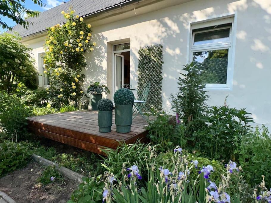 Zu Vermieten Apartment *