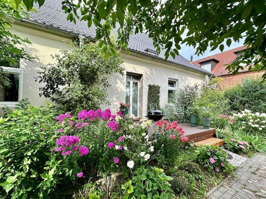 Zu Vermieten Apartment *